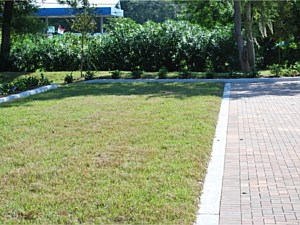 Paver crafters - PICP 4